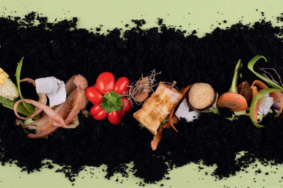 От корки до корки